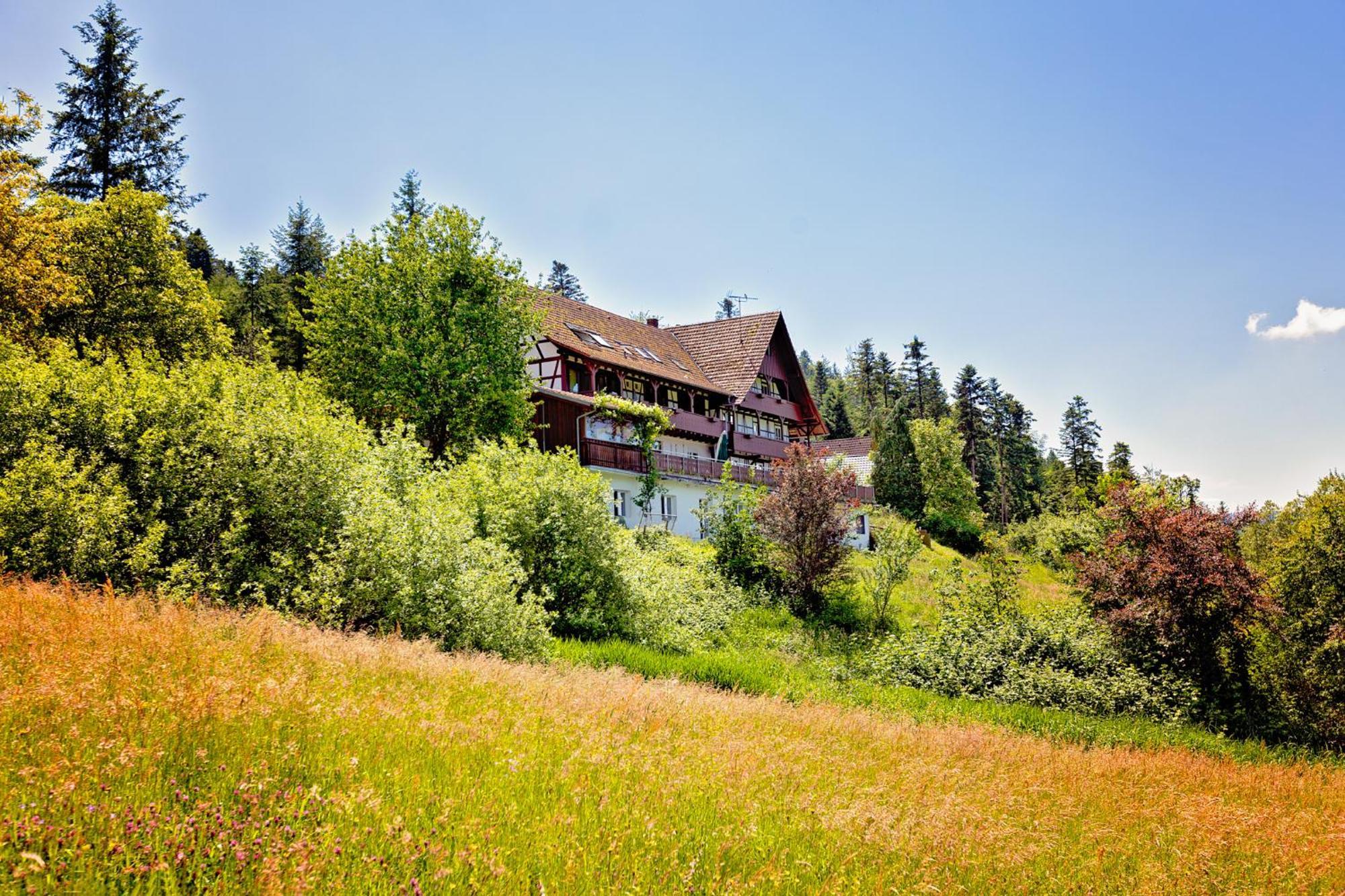 Апартаменты Haus Nilson Генгенбах Экстерьер фото